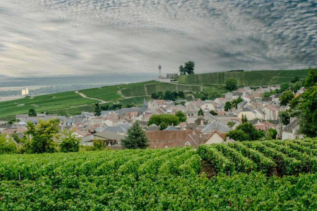 Maison De Champagne F.Barbier ! Avize Экстерьер фото